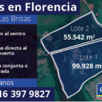 🏗️ EN VENTA LOTES EN ZONA DE EXPANSIÓN URBANA – FLORENCIA, CAQUETÁ